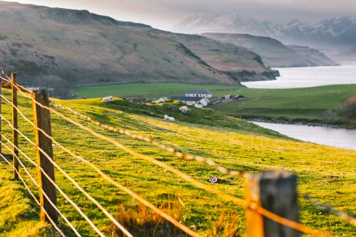 AgriOtter earth stakes and grounding detail ensuring strong fence performance