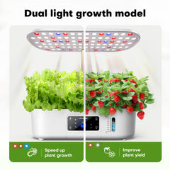 Ahopegarden full setup on kitchen counter demonstrating convenient indoor fresh herbs