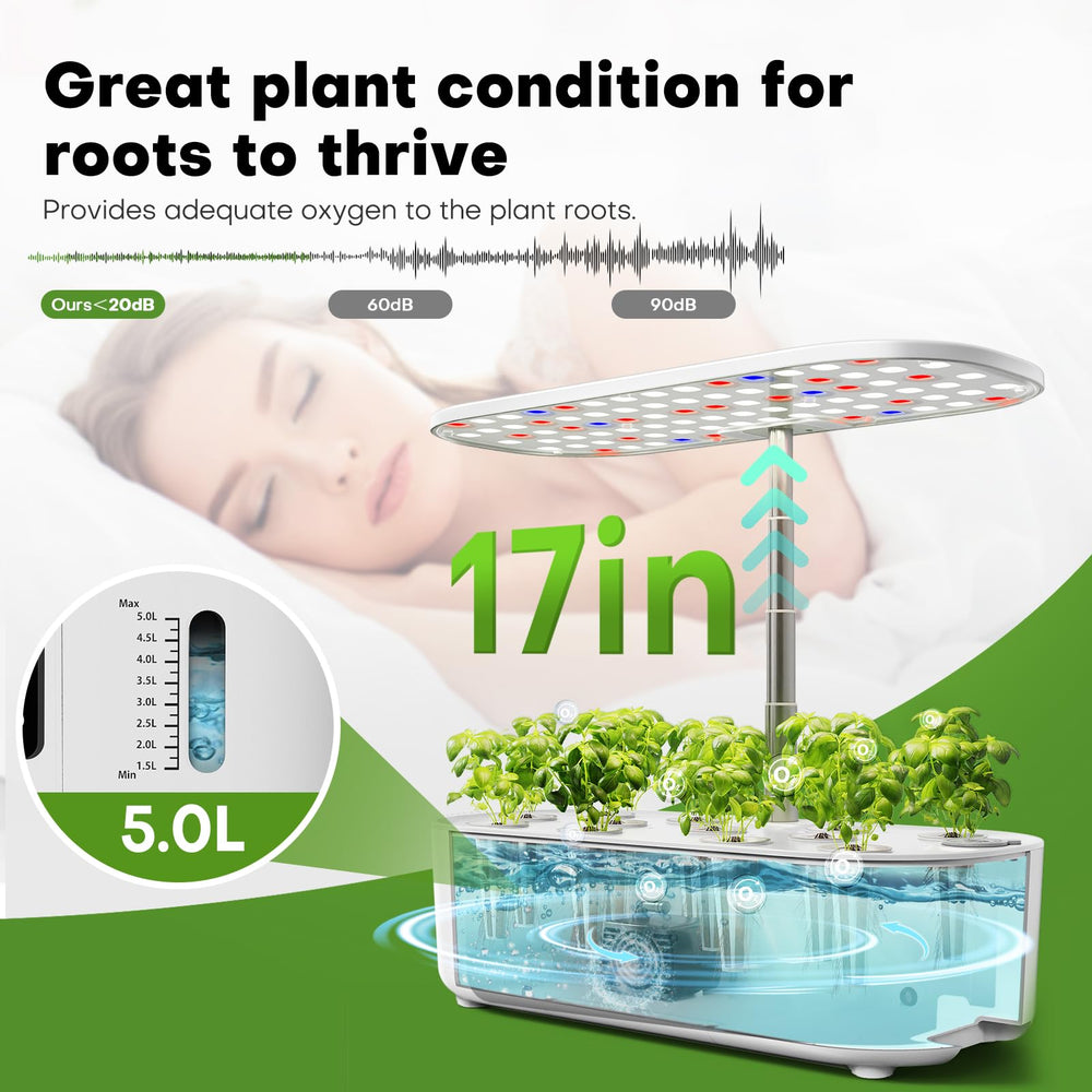 Ahopegarden next to a ruler for size comparison showing 17 inch footprint