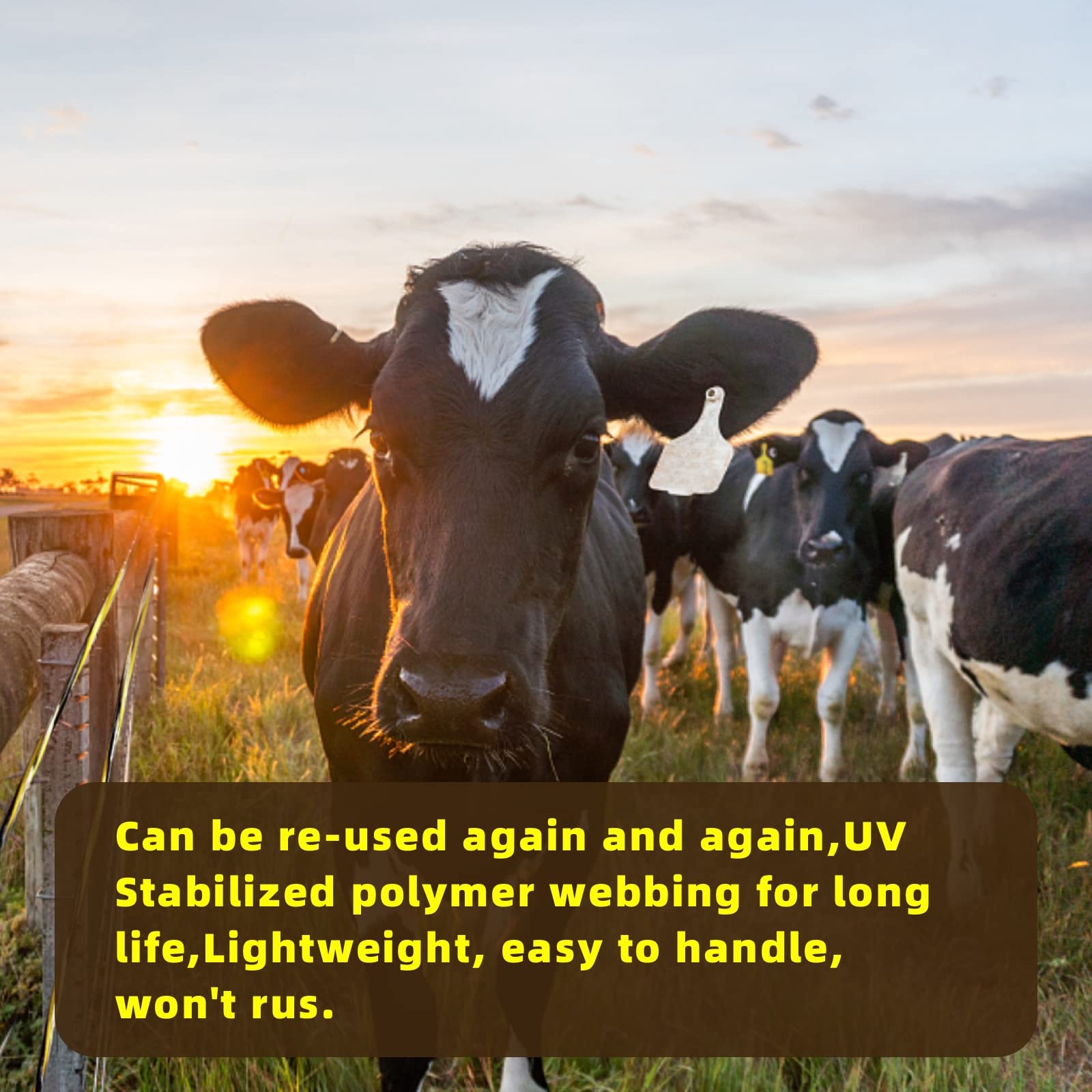 AI.YUYU polywire installed around a paddock, enabling quick portable fencing