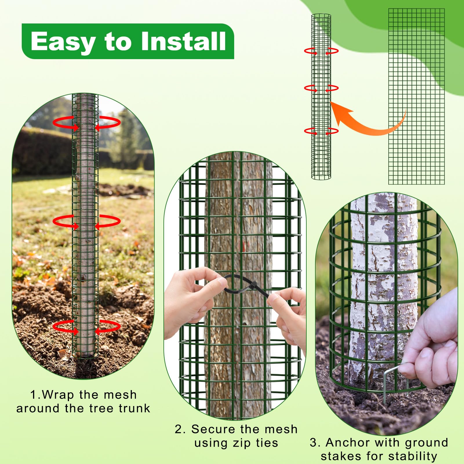 Aifanss mesh used as tree straightener supporting upright growth