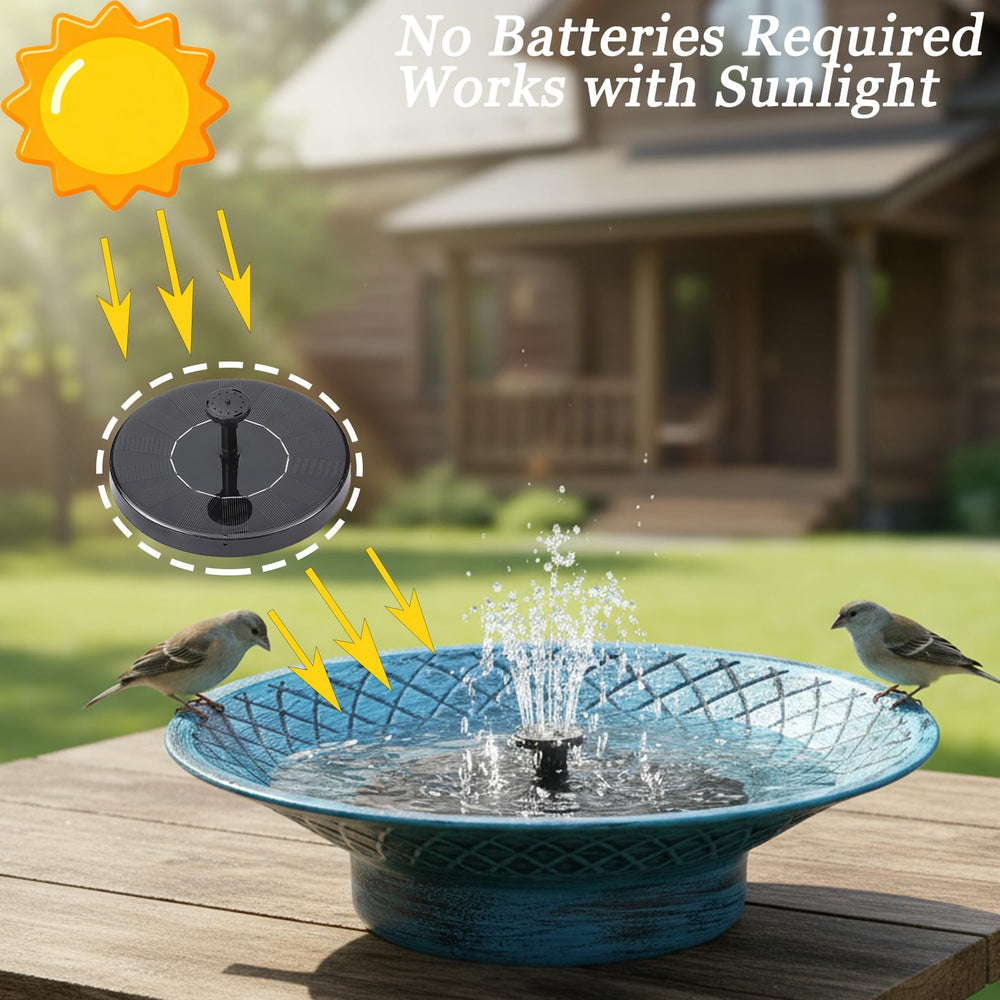 Aifeorzo bird in basin showing safe shallow depth for bathing and drinking
