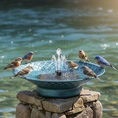 Aifeorzo front view ground-level bird bath showing stable solar fountain benefit