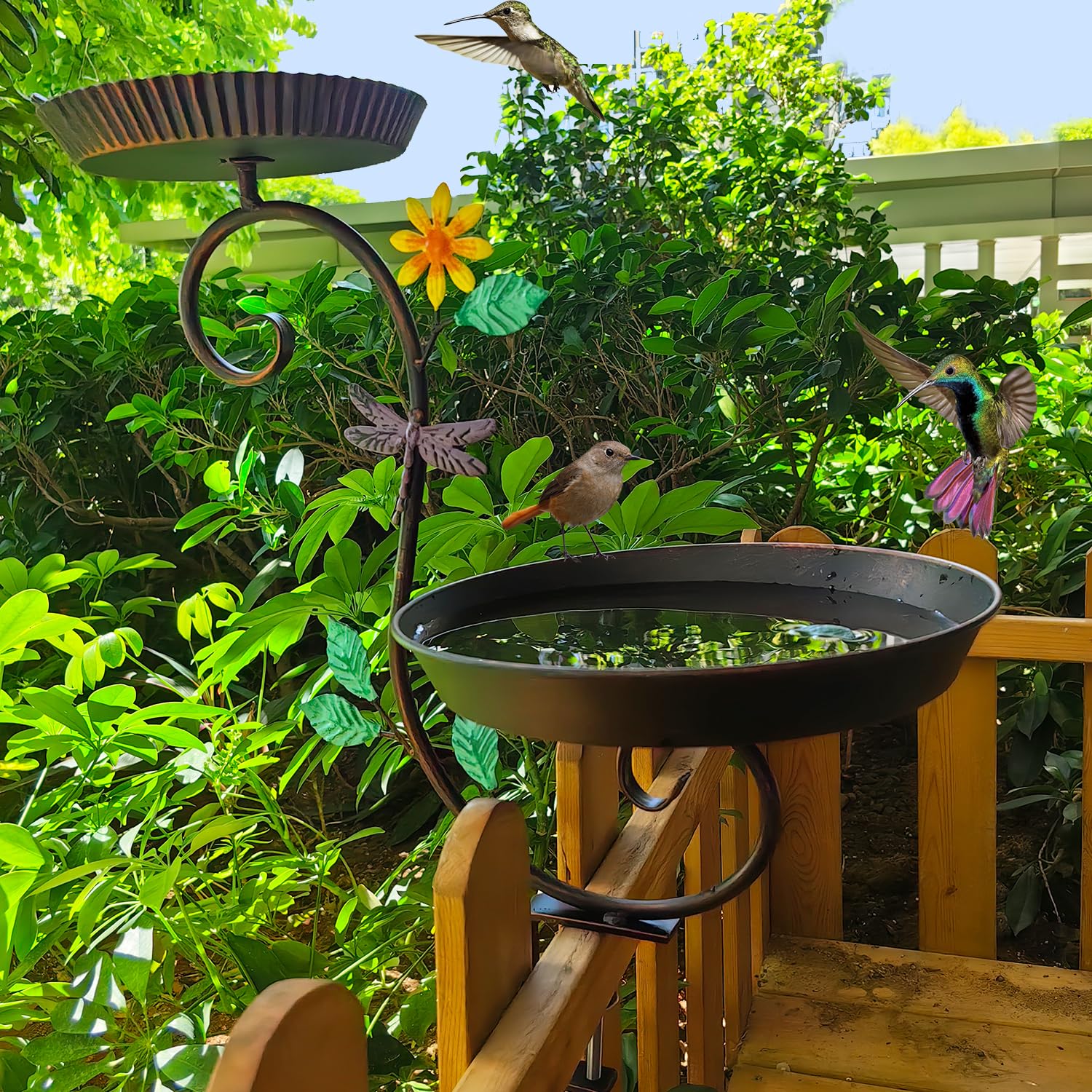 Aifeorzo on balcony among plants, creating wildlife-friendly outdoor decor
