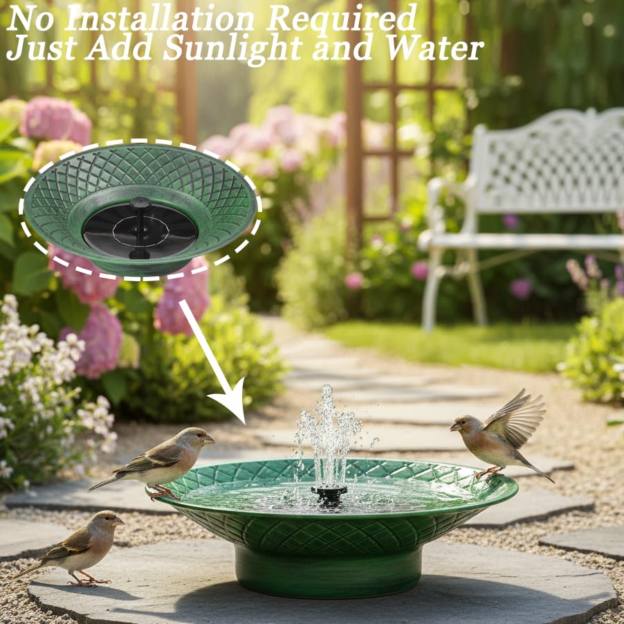 Aifeorzo with small bird bathing showing inviting water movement