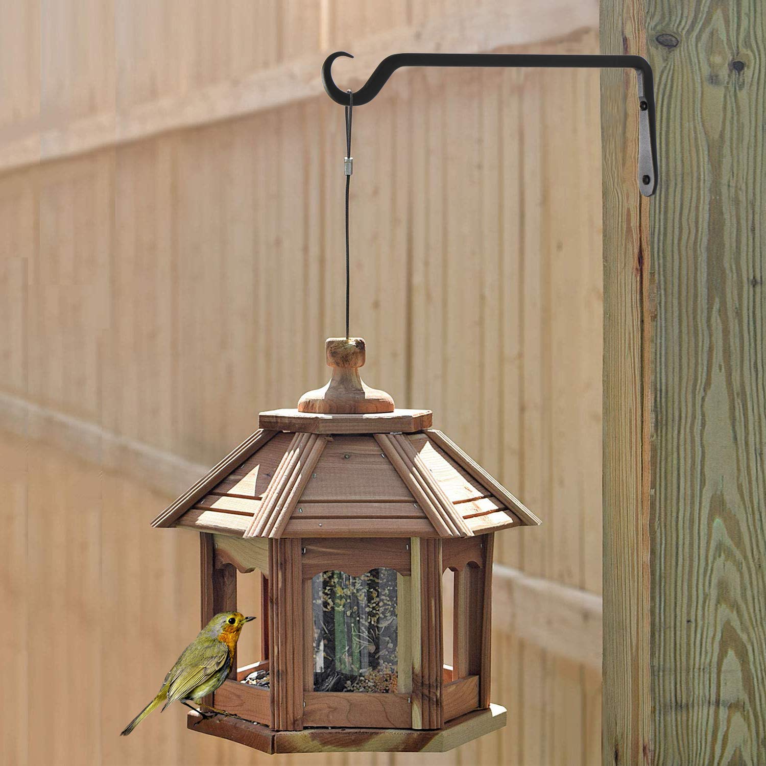 AILIN YELOKIE supporting bird feeder to attract backyard birds