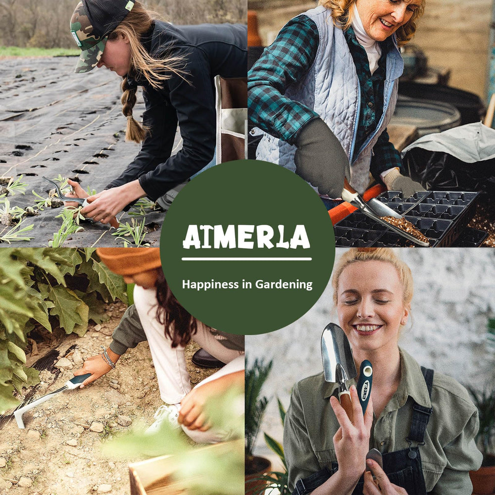 Aimerla tools beside a ruler showing scale and size for portability and practical fit benefit