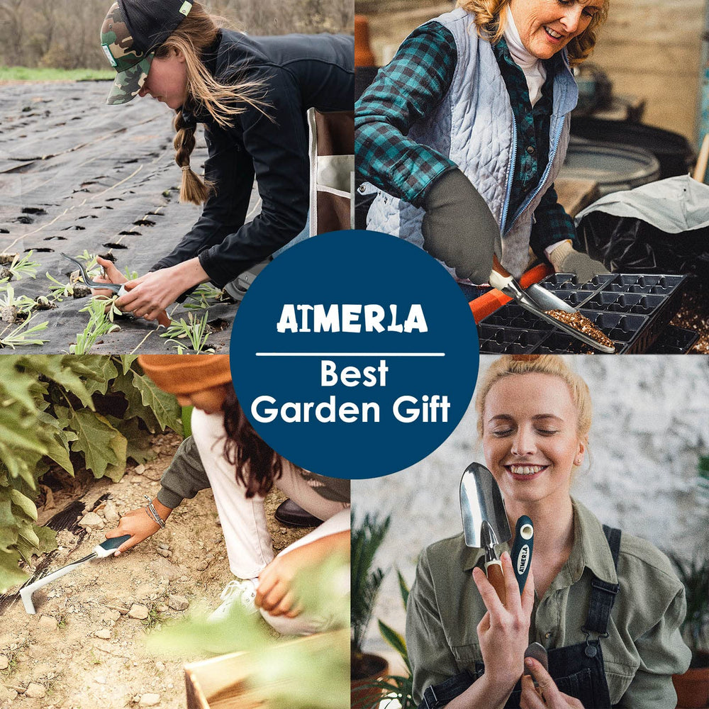 Aimerla scale comparison with ruler to show compact tool size