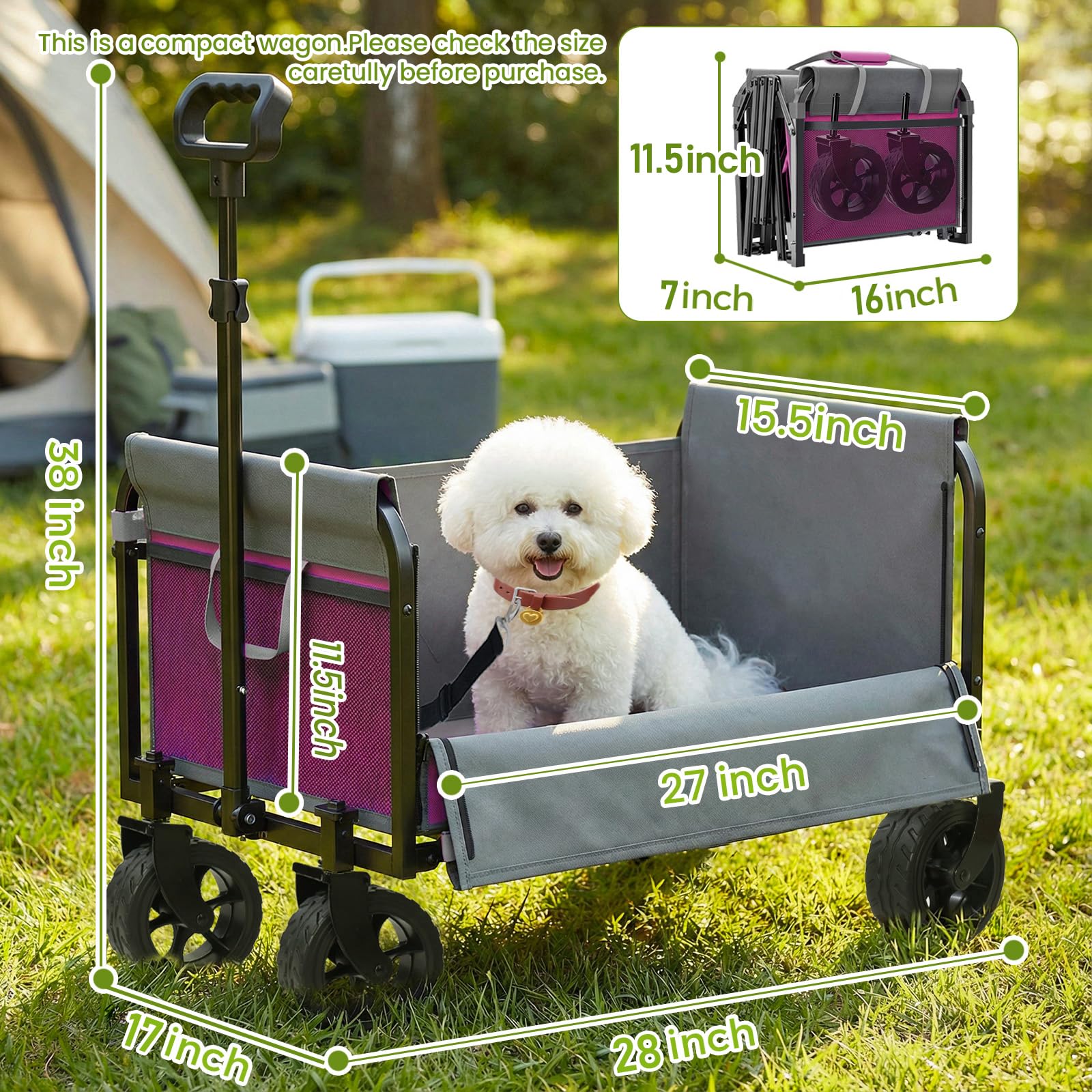 Aimnny pet riding inside for secure comfortable transport benefit