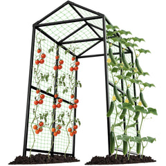 AIMUCT arch front view showing full black trellis and walk-through benefit