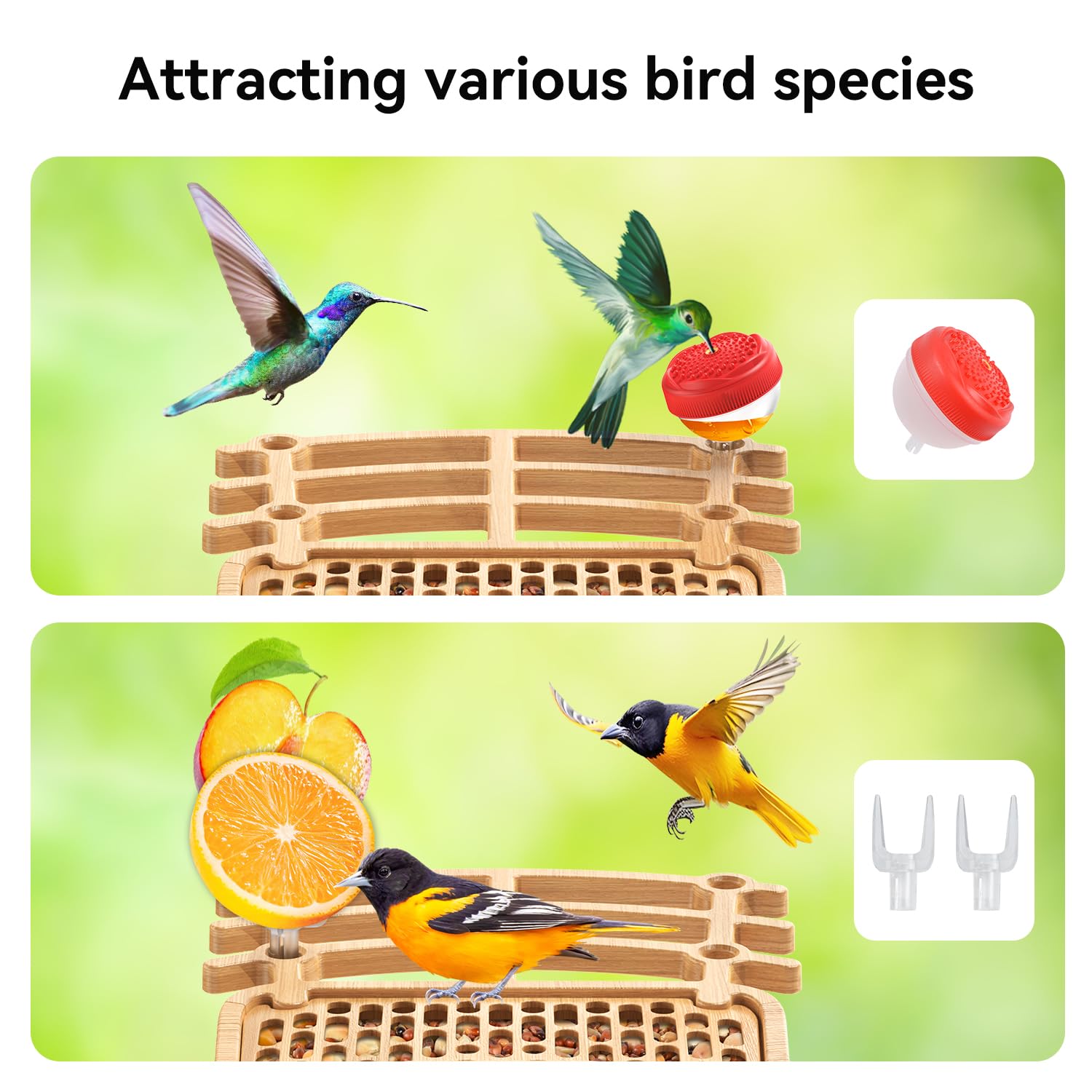 AiQInu feeder hung in garden attracting songbirds for enhanced backyard biodiversity