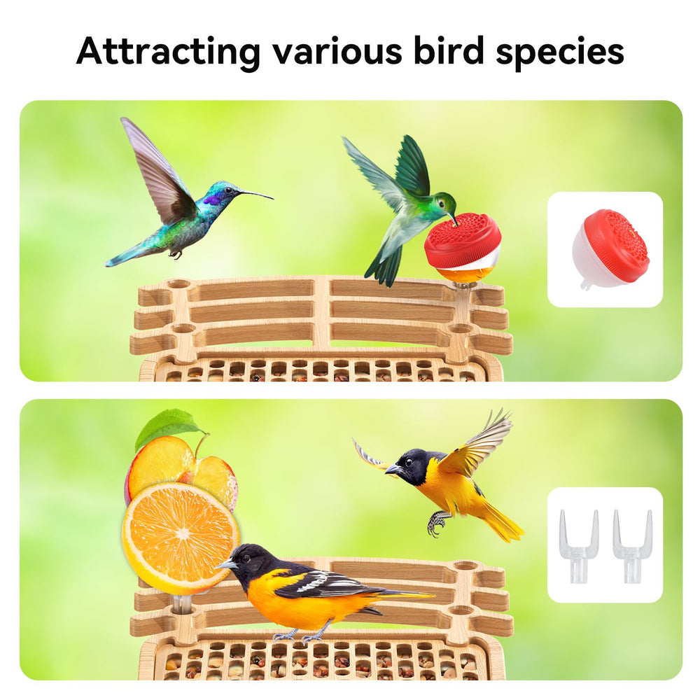 AiQInu feeder hung in garden attracting songbirds for enhanced backyard biodiversity