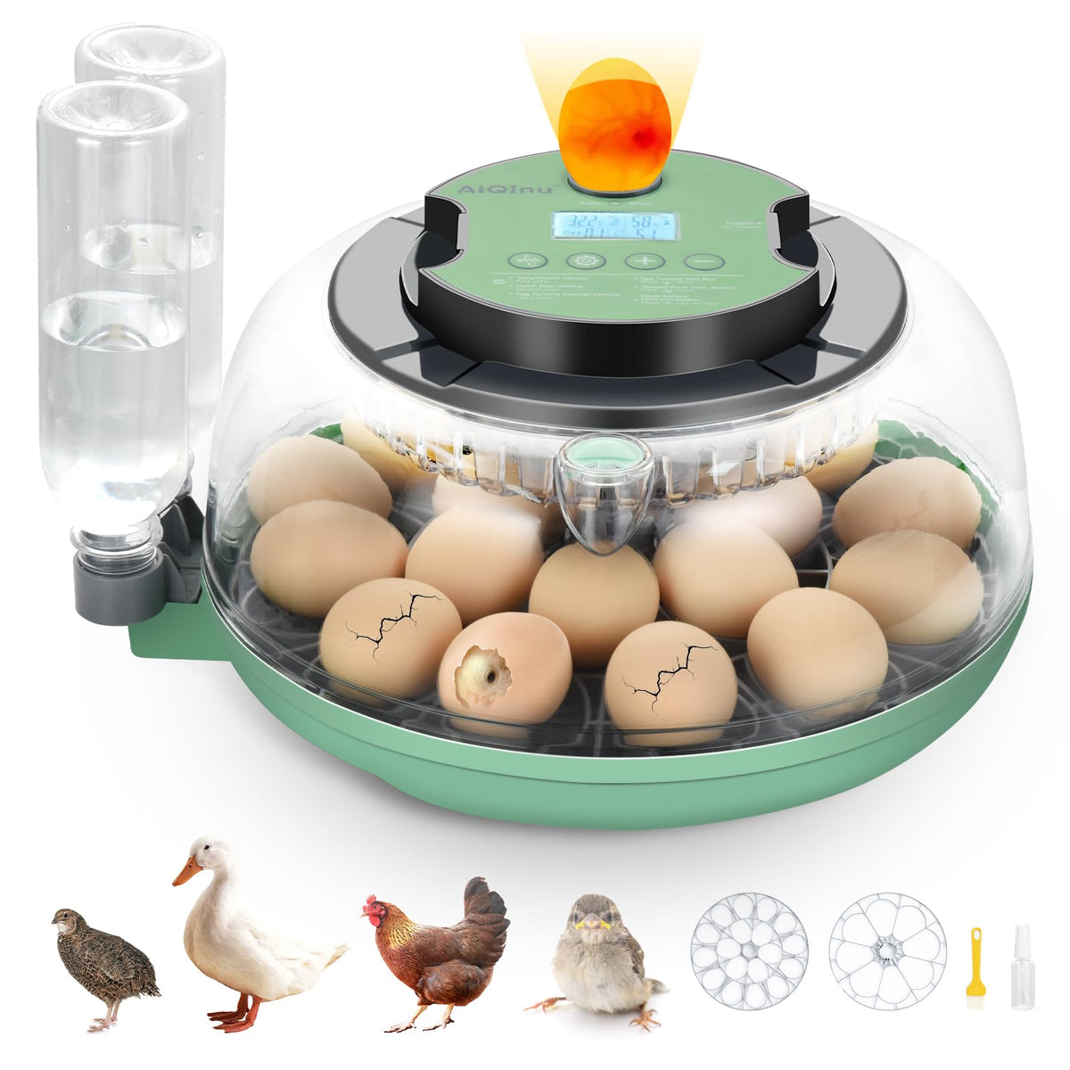 AiQInu front view of incubator showing compact design and capacity benefit