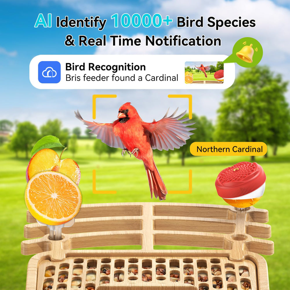 AiQInu color night vision demo capturing bird at night for round-the-clock viewing