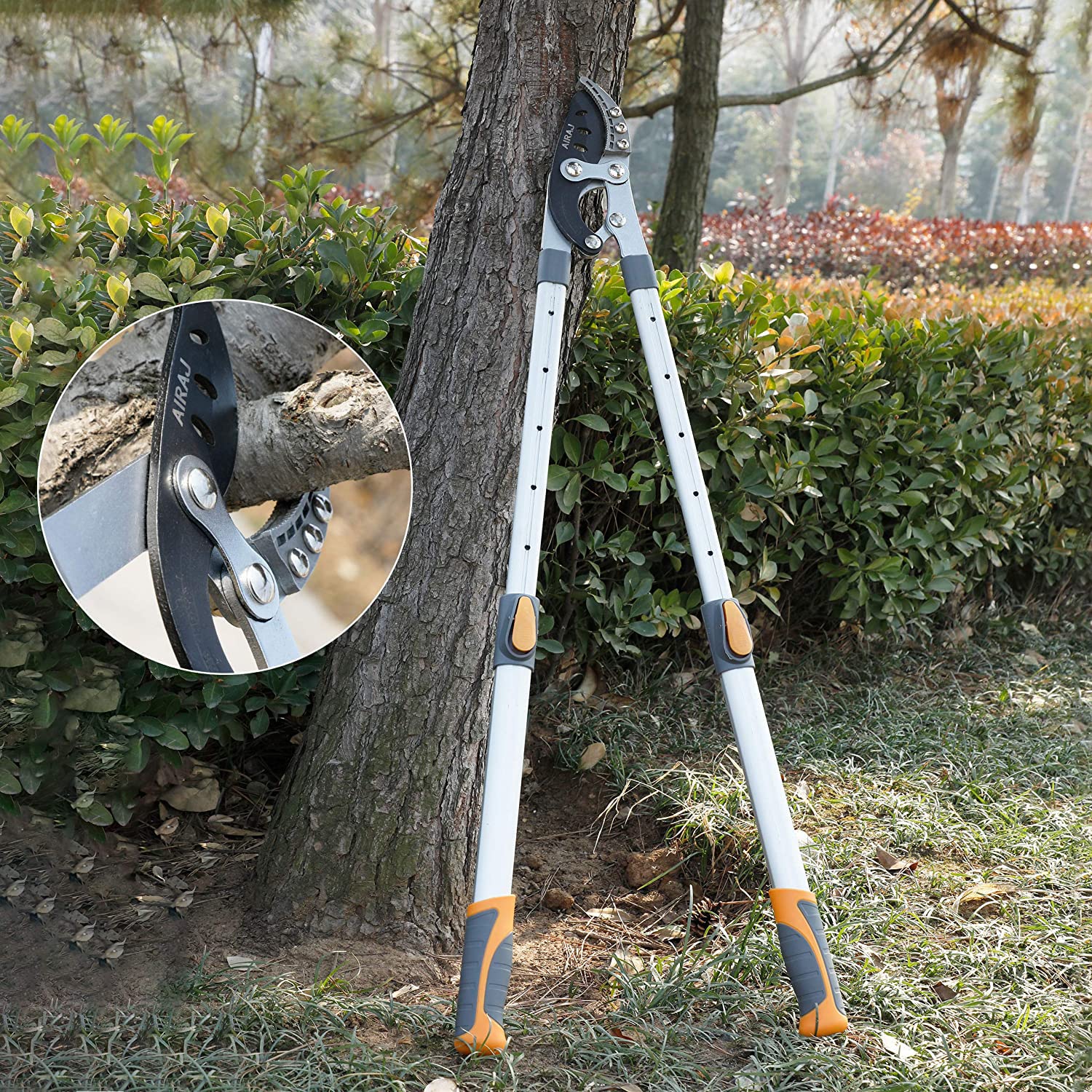 AIRAJ loppers in yard trimming a shrub, demonstrating efficient garden maintenance