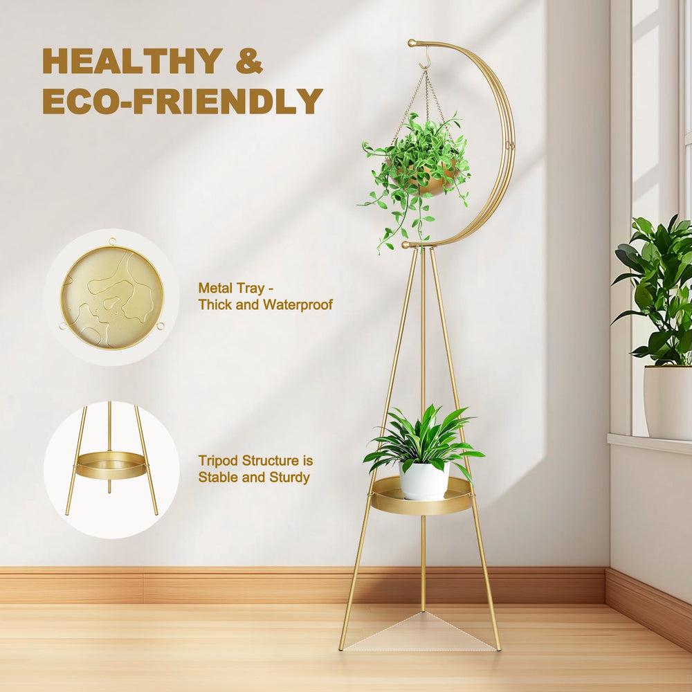 airogym hanging planter with succulent illustrating space-saving display