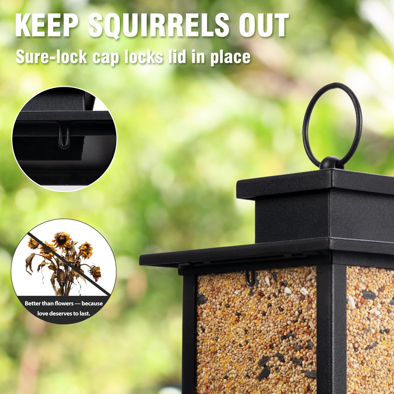Airrioal detailed shot of two U-shaped perches allowing multiple birds to feed