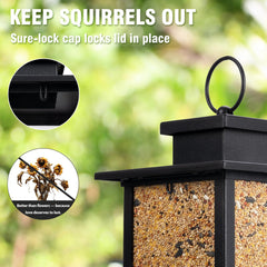 Airrioal detailed shot of two U-shaped perches allowing multiple birds to feed