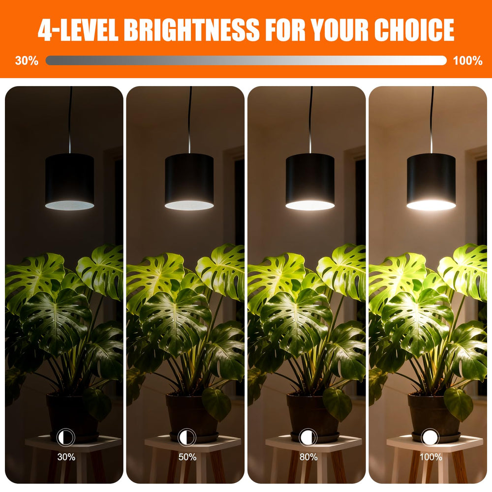 Airseafar close-up of LED array highlighting full-spectrum diodes for vigorous plant growth
