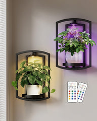 Aisdan front view of wall plant holder showing elegant double-frame and tray benefit display
