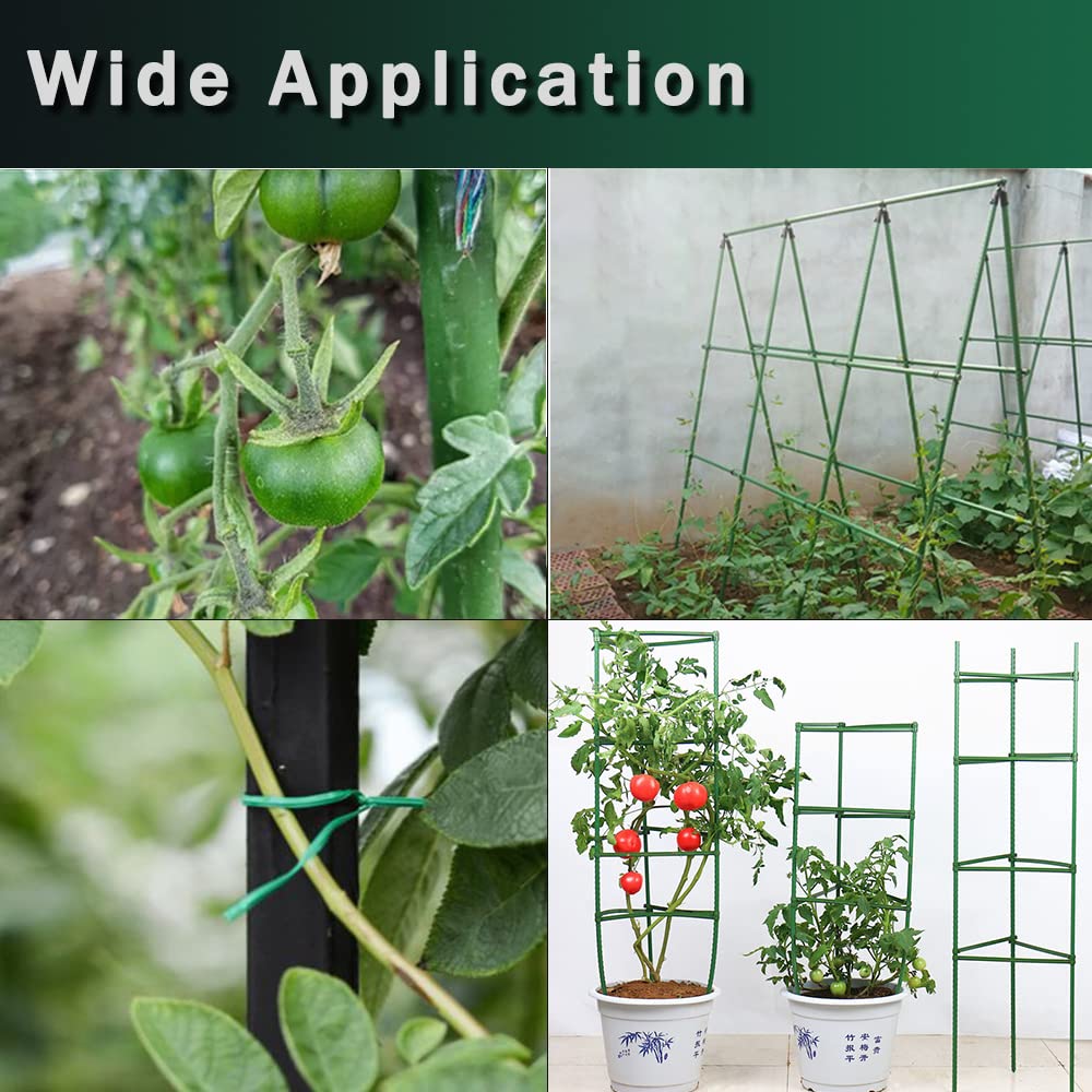 AIVYGDEN gardener fastening tomatoes to trellis showing healthy vine support benefit