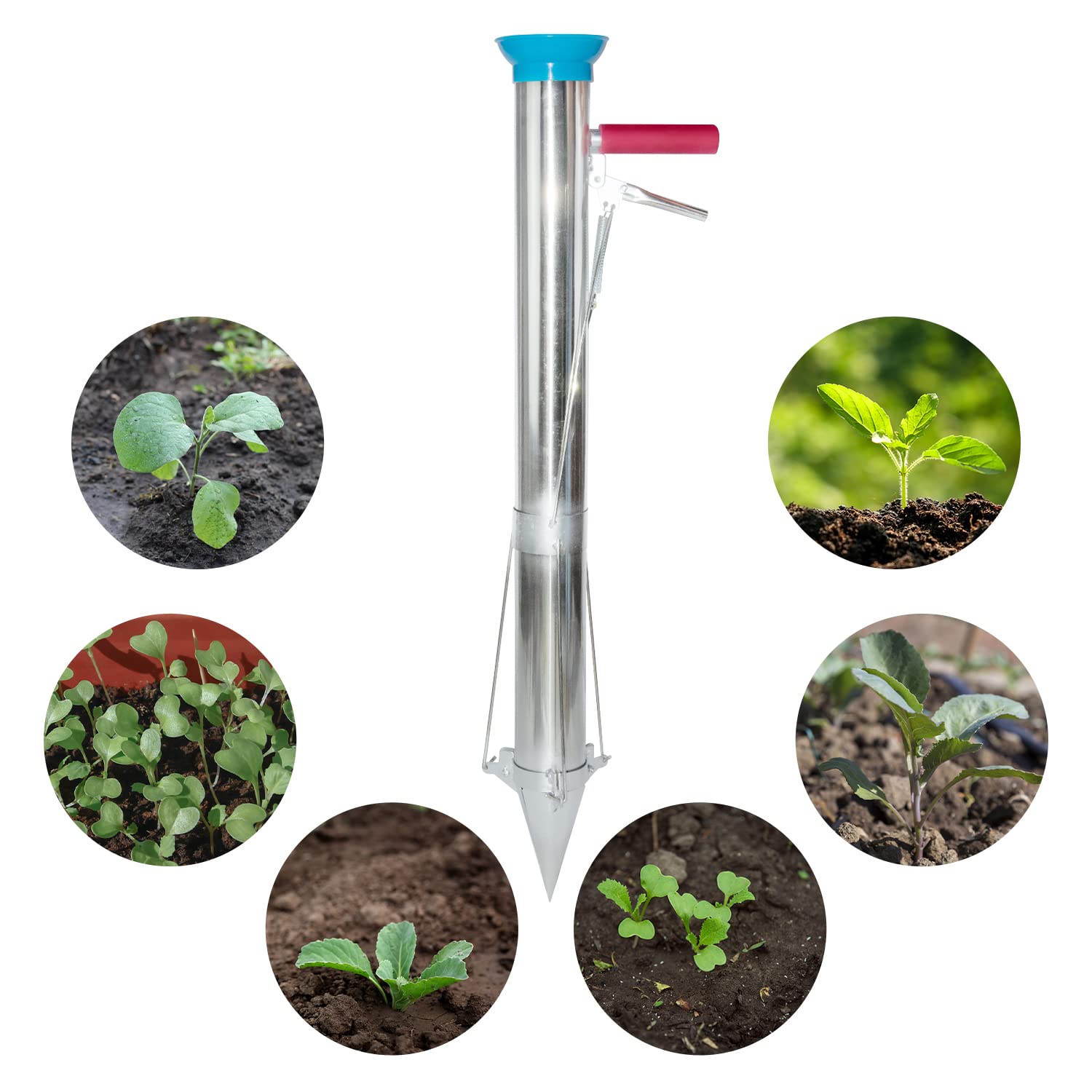 AIWFL lifestyle raised bed planting scene showing efficient, back-friendly transplanting