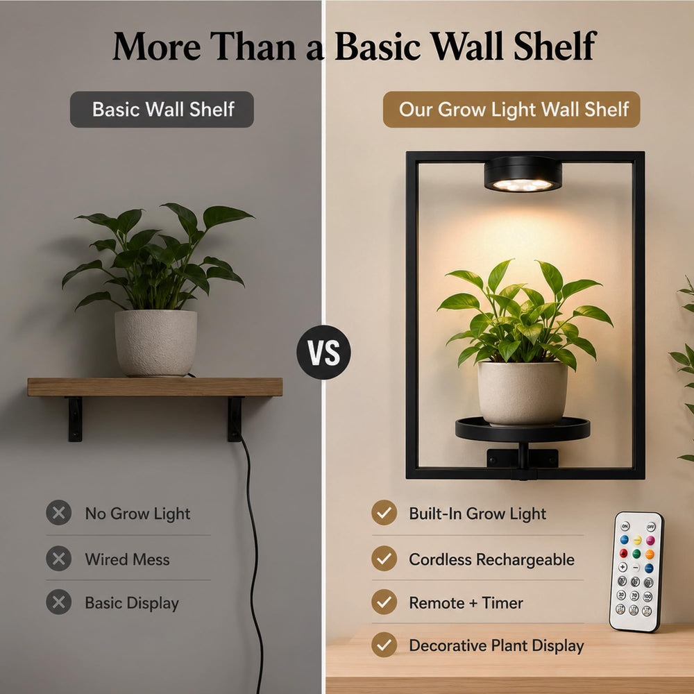 Ajerg LED light color modes displayed illustrating customizable plant and mood lighting