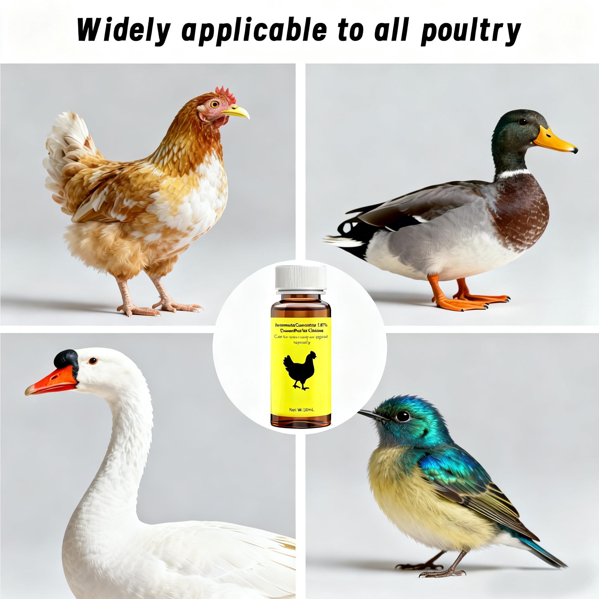Ajfwm oral administration shown dosing a chicken with accurate measurement