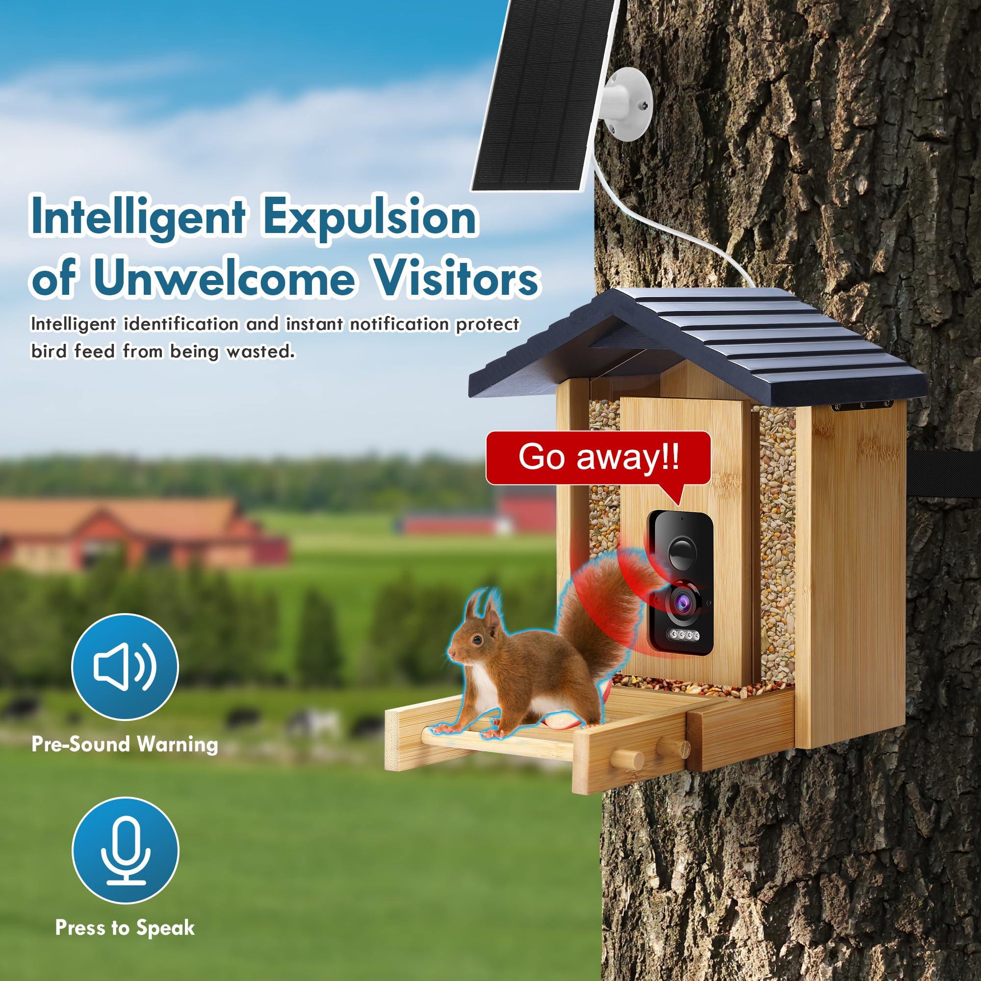 Akasumer bird perched on feeder demonstrating realistic viewing and recording