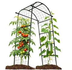 Alabzphsia arch front view showing full black frame and elegant canopy benefit: clear vertical support