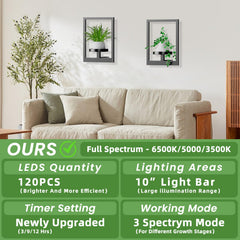 ALACOO plants displayed on shelf in living room to save floor space