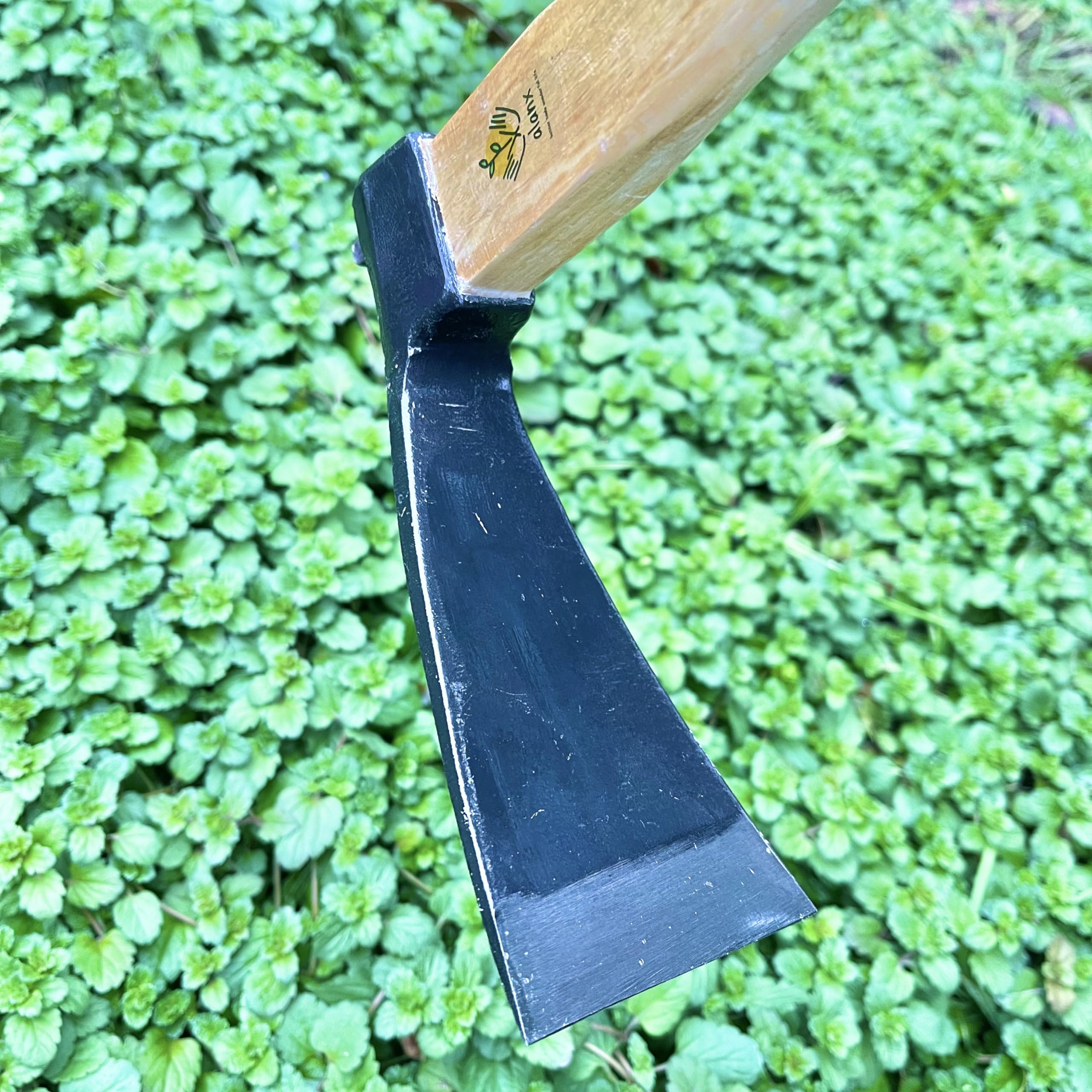 alanx hoe cutting weed roots cleanly to support easier weeding