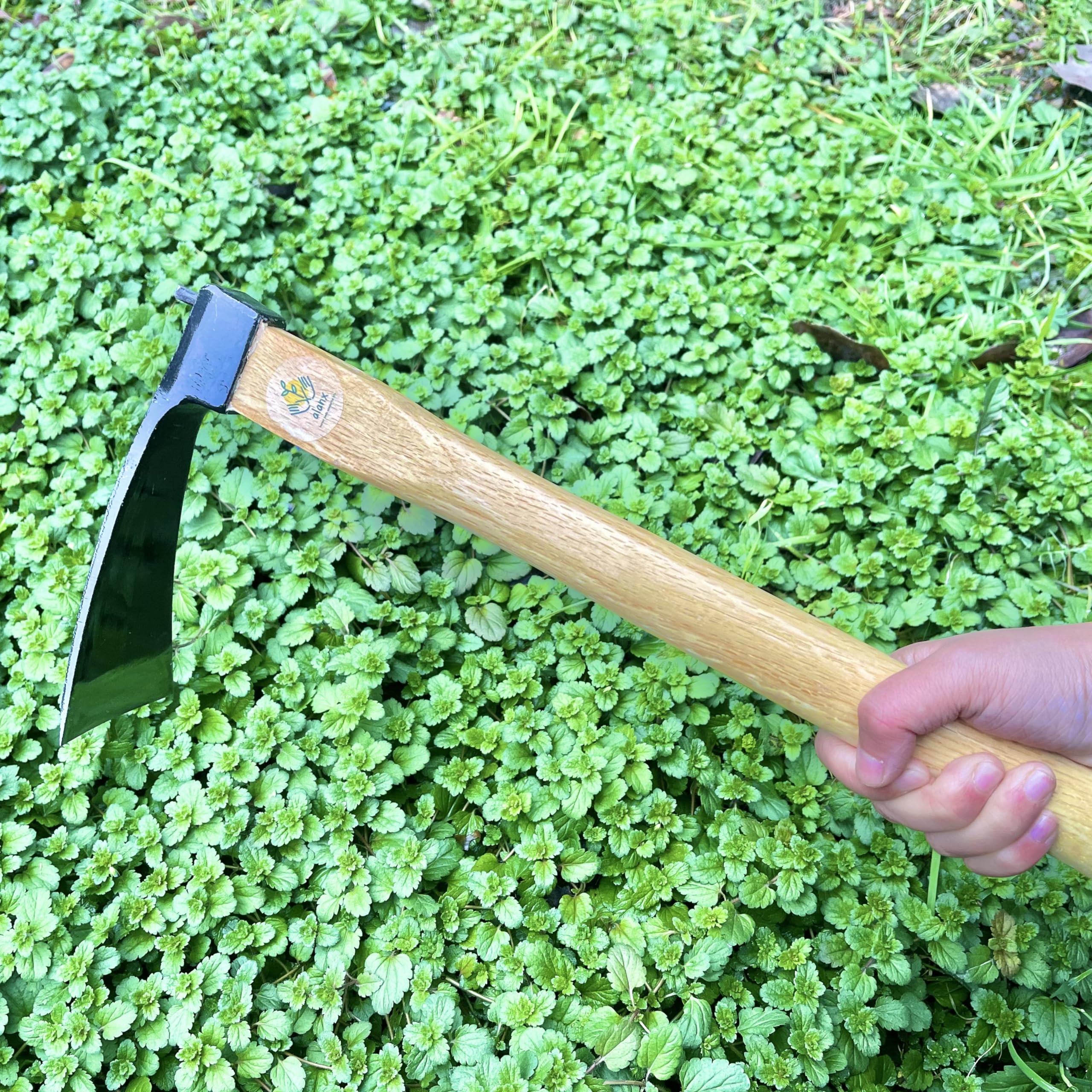 alanx hoe in raised bed illustrating efficient soil moving and bed shaping