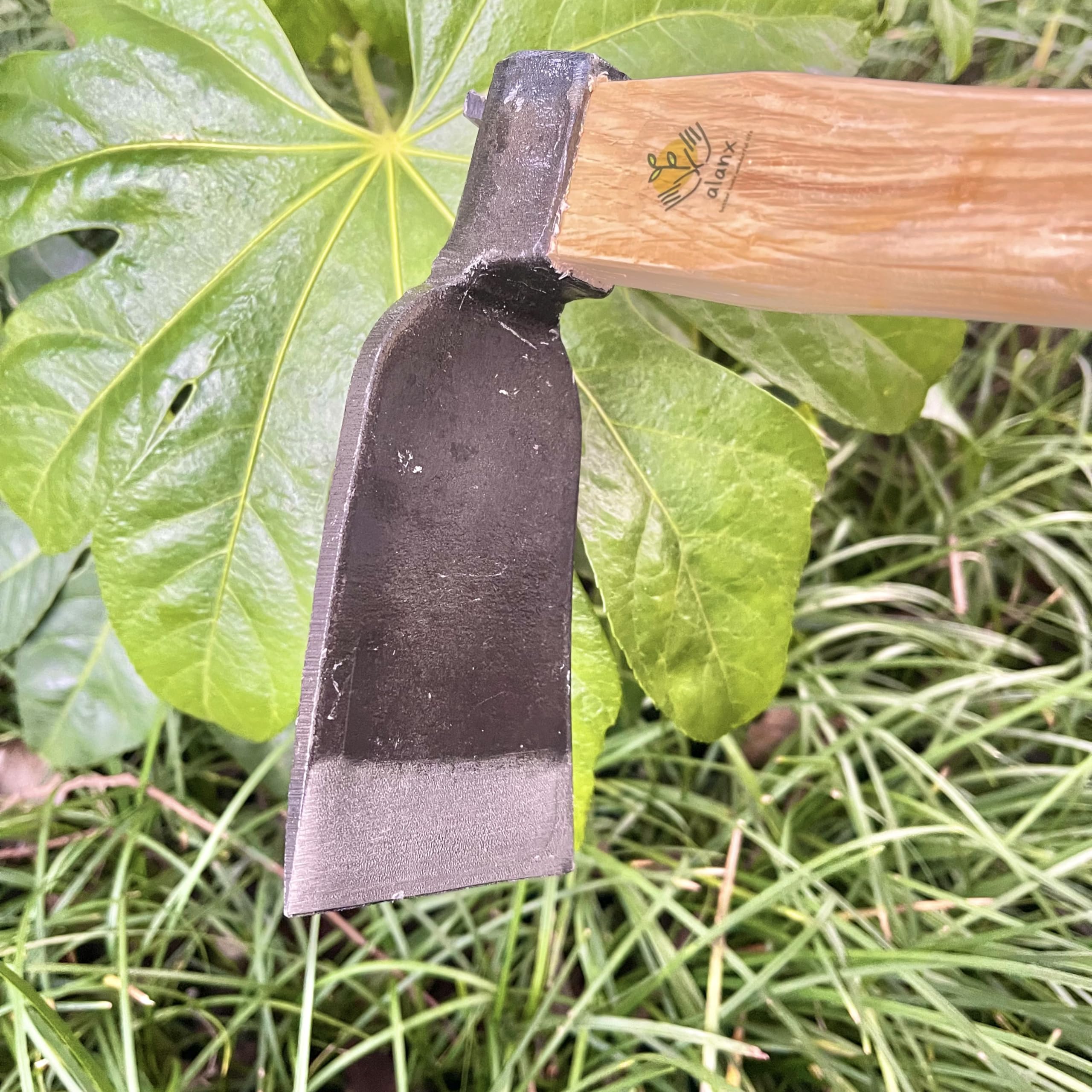 alanx polished blade reflection detail indicating corrosion resistance