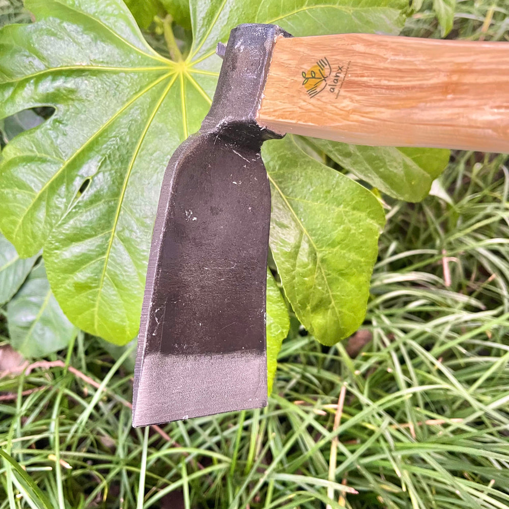alanx polished blade reflection detail indicating corrosion resistance