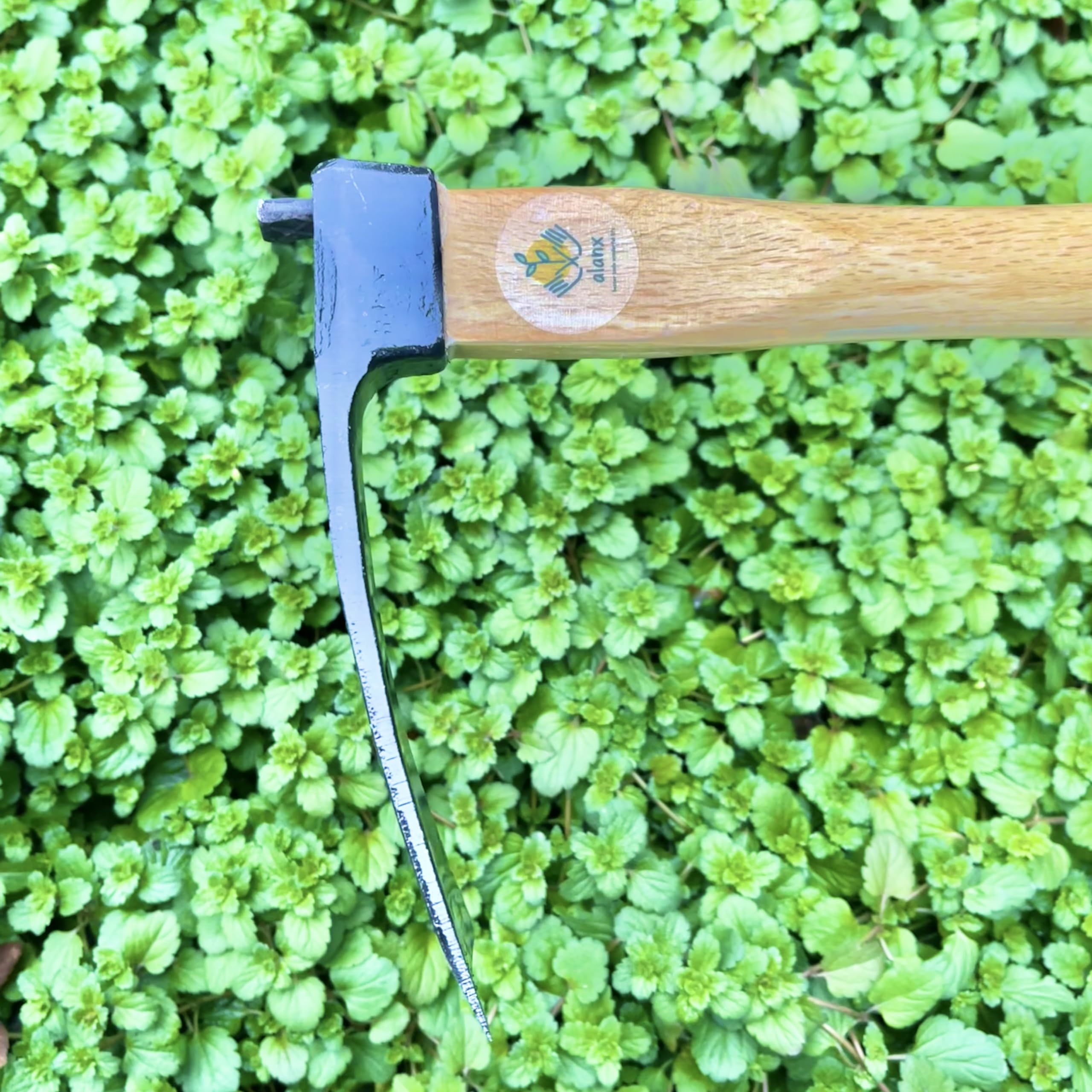 alanx scale comparison with hand and ruler to show 14-inch workable width