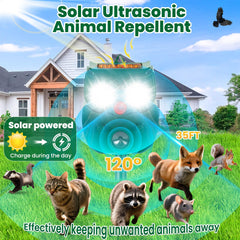 Alikguu solar panel closeup highlighting efficient sun charging for continuous operation