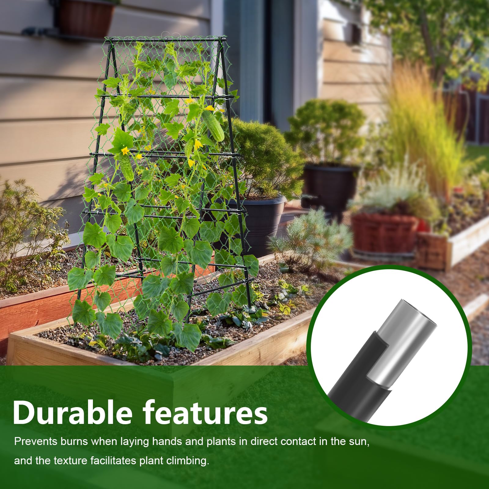 AlisisFores trellis supporting tomatoes and saving garden space
