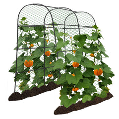 AlisisFores front view of black garden arch trellis showcasing full frame benefit