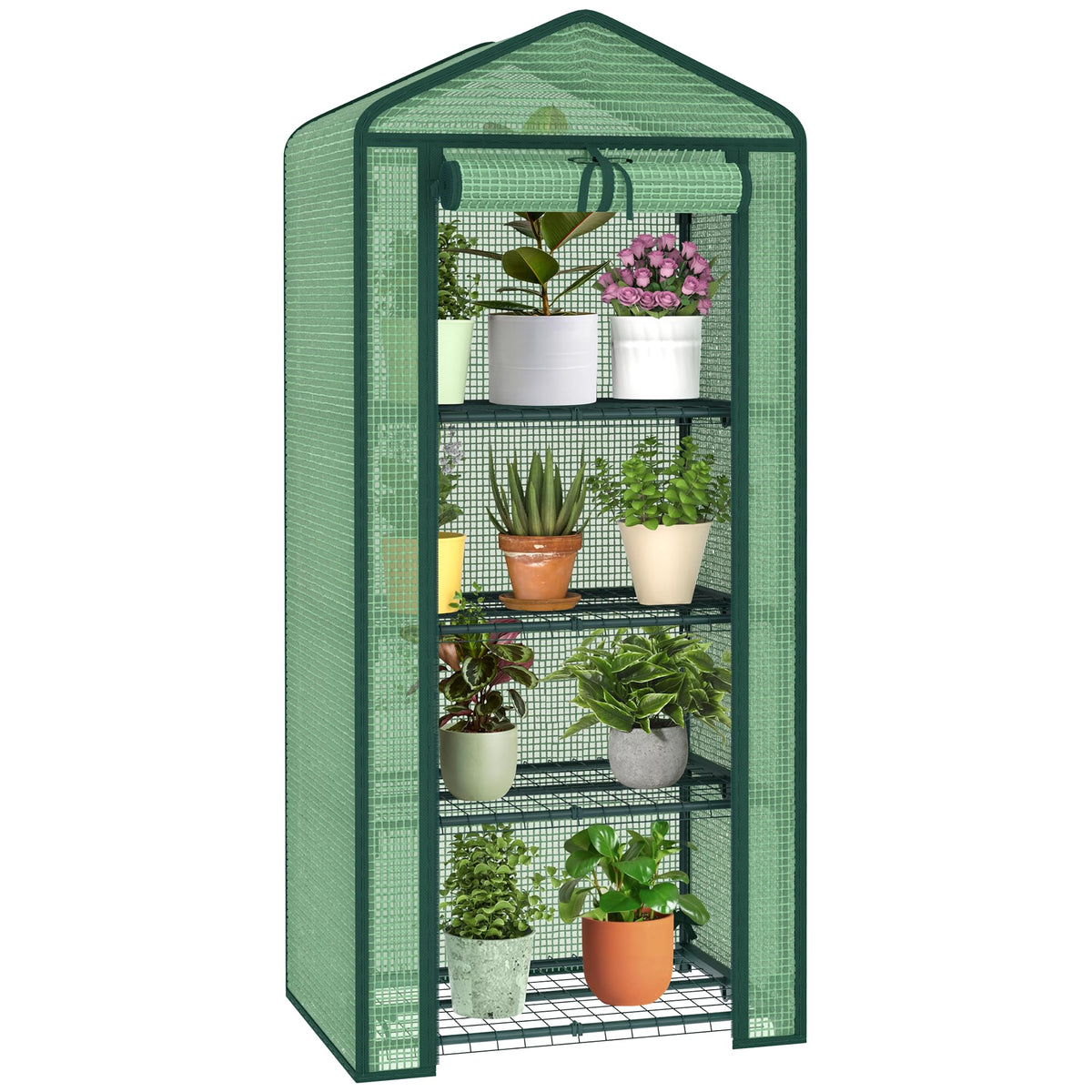 AlisisFores front view assembled showing compact protection and organized plants