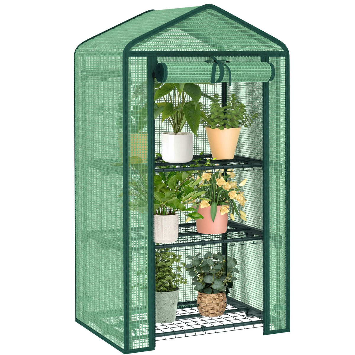 AlisisFores greenhouse front view showing protection and organized plants