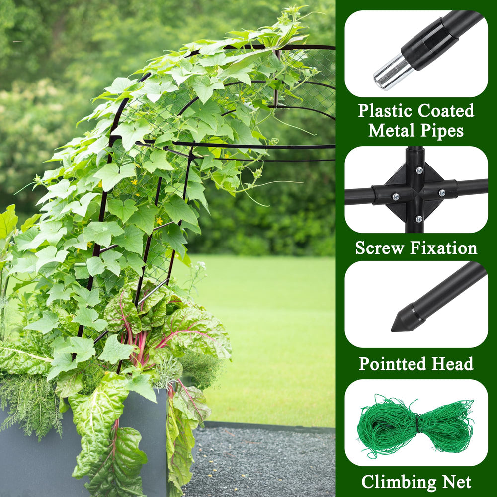 AlisisFores trellis with cucumber vines demonstrating easier harvesting benefit