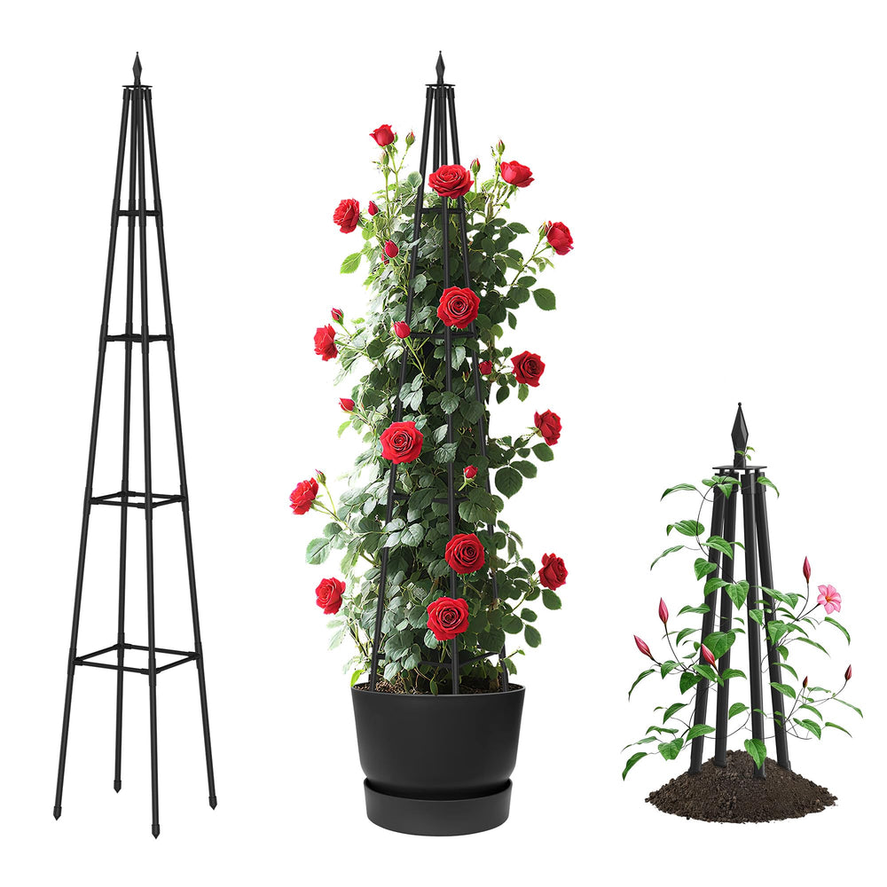 AlisisFores obelisk front view showing sturdy black frame and vertical support benefit