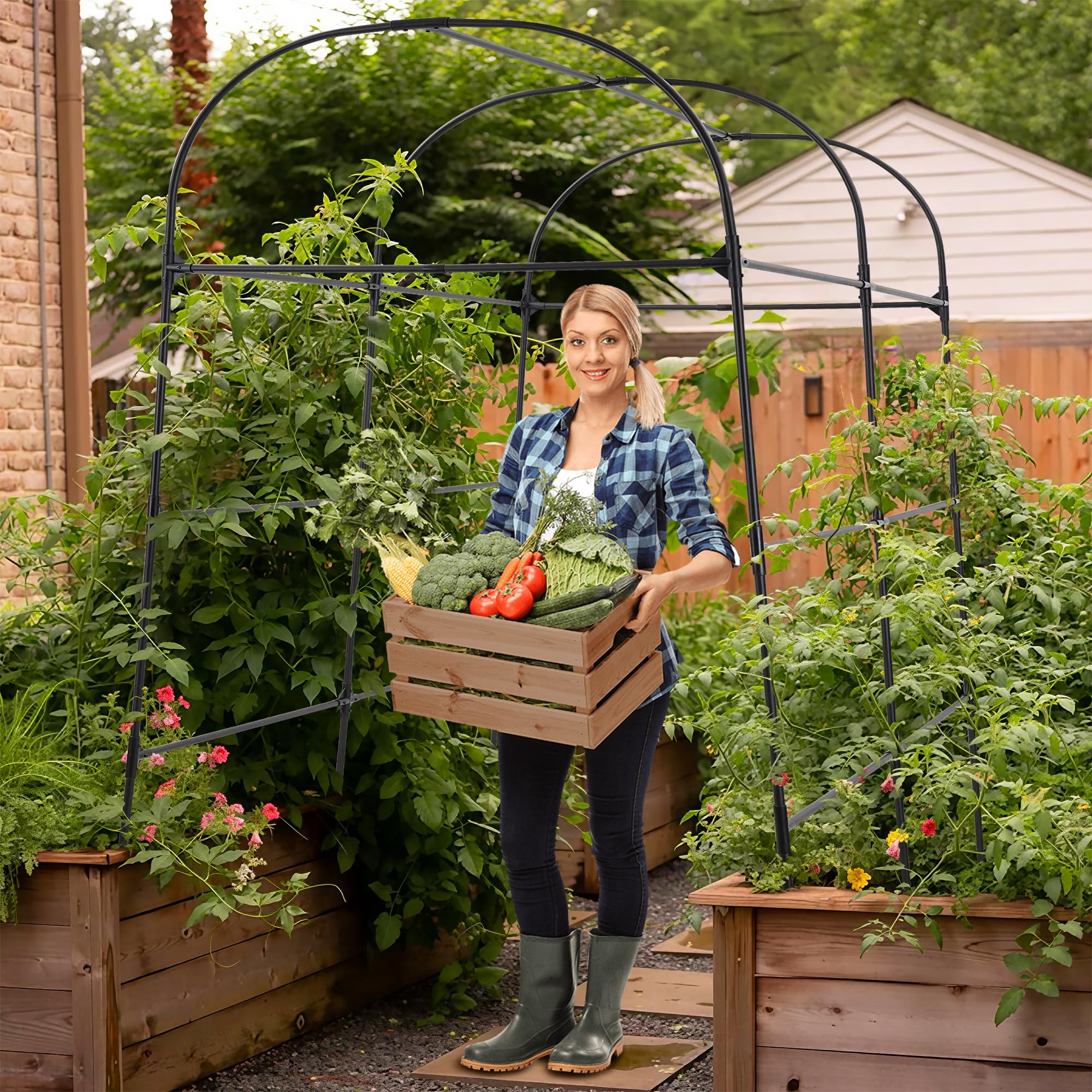 AlisisFores side profile of arch over raised bed maximizing vertical space benefit