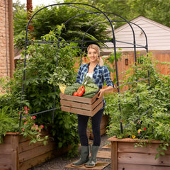 AlisisFores side profile of arch over raised bed maximizing vertical space benefit