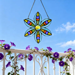 Alivagar panel in window with sunlight creating colored reflections benefit