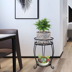 alleegold assembled in living room creating layered plant display and visual interest
