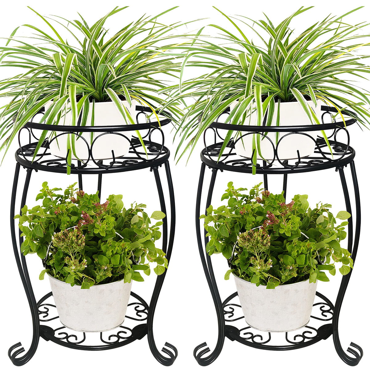 alleegold front view pair of stands showcasing two-tier display and space savings
