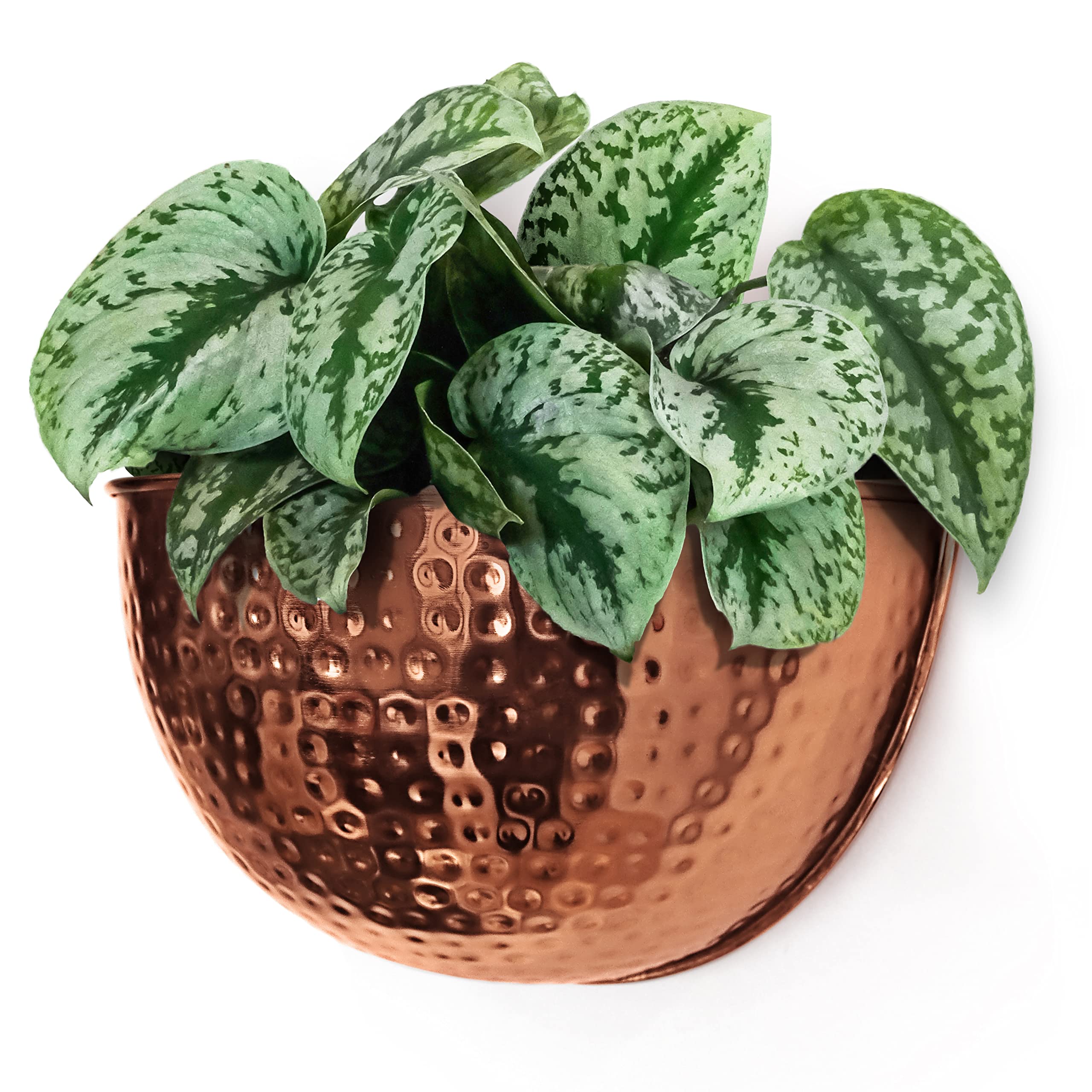 Allegorie front view copper planter showing elegant finish and display benefit