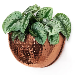 Allegorie front view copper planter showing elegant finish and display benefit